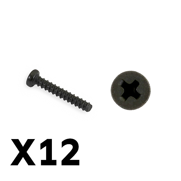 image FTX TRACER PAN HEAD SELF TAPPING SCREWS PBHO2*12MM - Image 1