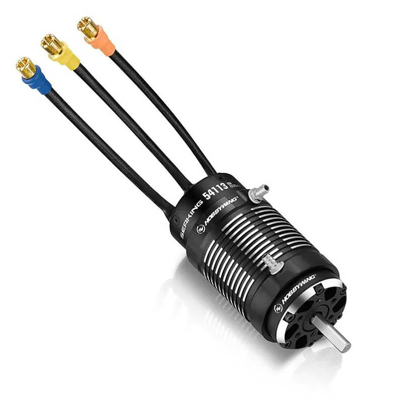 image HOBBYWING SEAKING 54113SL 800KV BLACK MOTOR V2 - Image 1