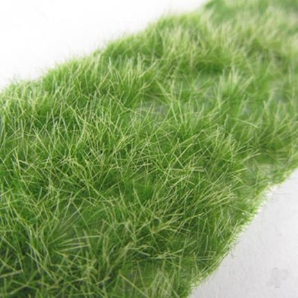 image_JP-4DXLG40401