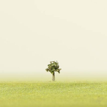 image_JP-4DXLT11025D