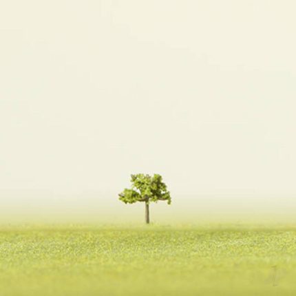 image_JP-4DXLT11030M