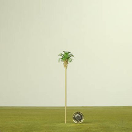 image_JP-4DXLT30003
