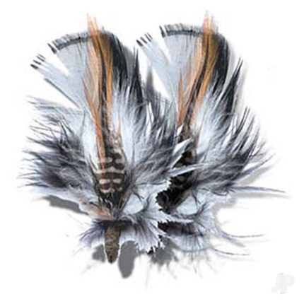 image_JP-4DXRX00001