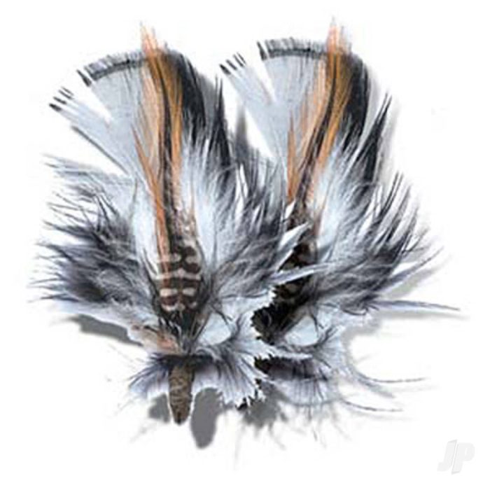 image_JP-4DXRX00001