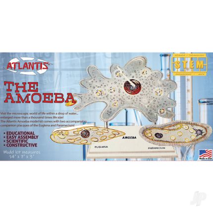image_JP-AMCL3800
