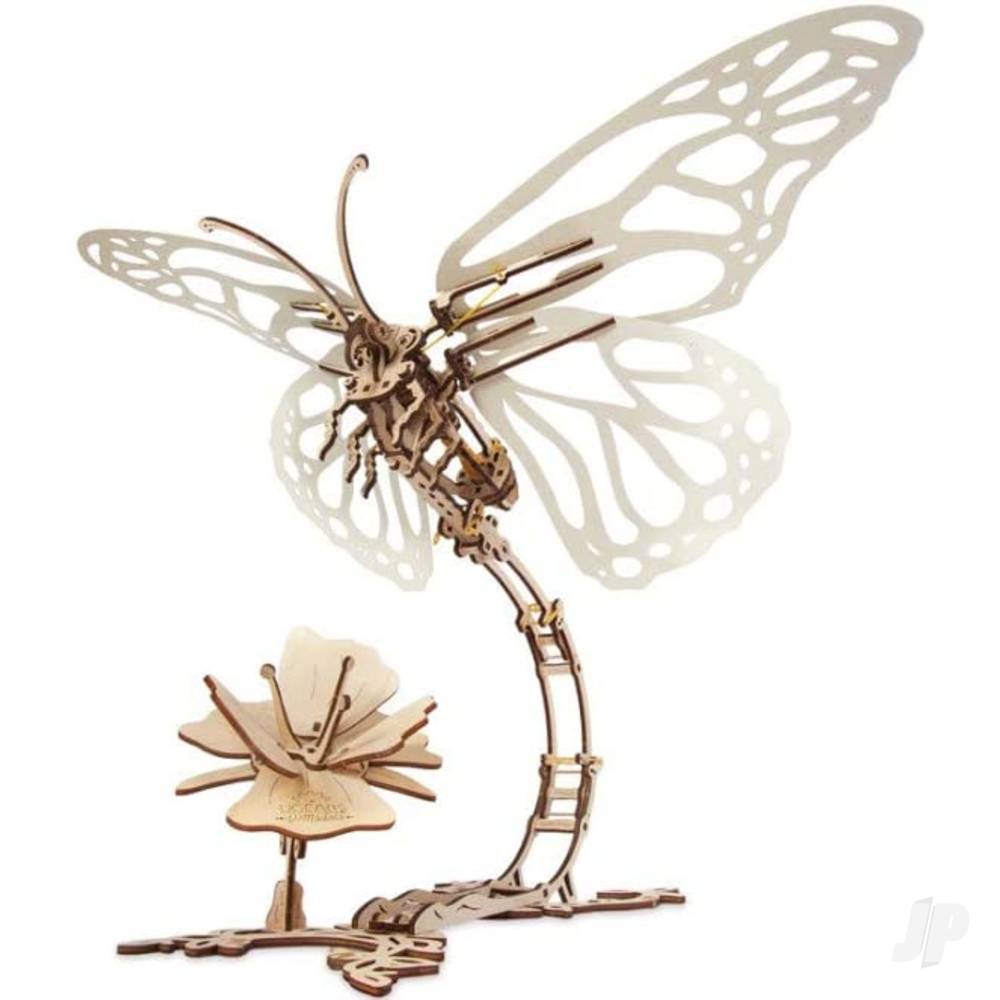 Butterfly image_JP-UGR70081