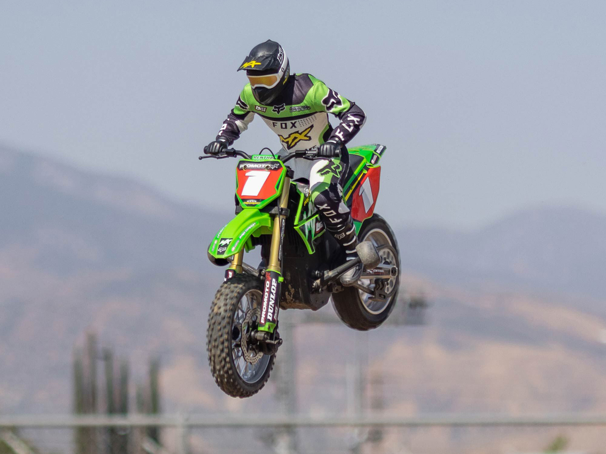 Losi 1/4 Promoto-MX Motorcycle RTR with Batt & Chg Pro Circuit - Image 16