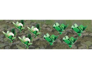 JTT Broccoli & Cauliflower, 3/8in width, HO-Scale, (20 per pack)