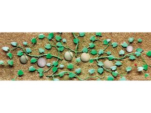 JTT Cantaloupe Patch, O-Scale, (4 per pack)