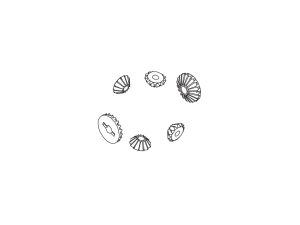 PD Racing Center Differential Inner Gear