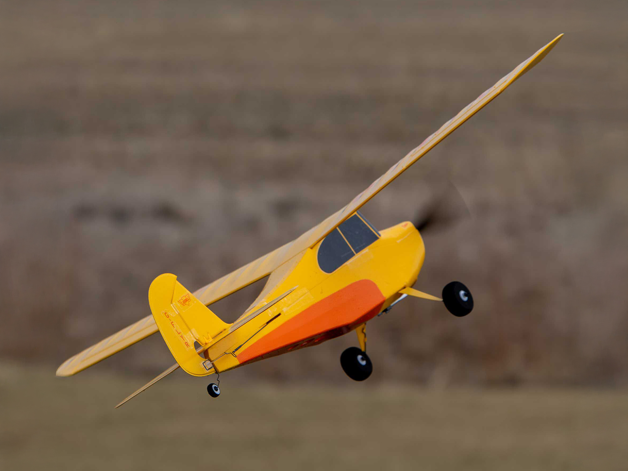 Hobbyzone Champ Anniversary Special Edition 515mm BNF Basic with SAFE - Image 15