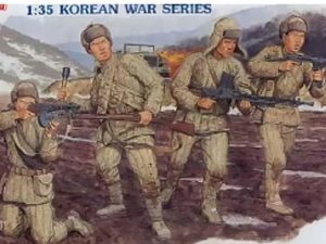 Dragon Chinese Volunteers