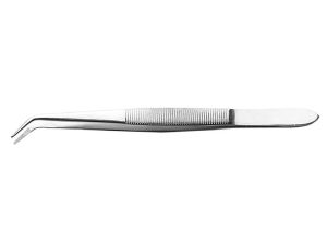 Curved Point Stainless Steel Tweezers, 6in (Carded)