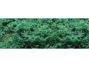 JTT Dark Green Fine Foliage Clumps - 150 sq. in. (967.74 sq. cm) per pack)