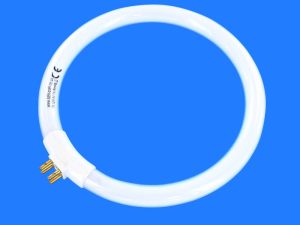 Lightcraft Daylight Magnifier Bulb 12W (Lc8093/T)