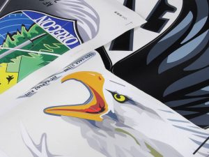 Arrows Hobby Decal Sheet (for F15)