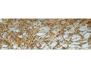 JTT Dry Vines, Dead Foliage (10g)