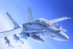 Italeri F/A-18C/D WILD WEASEL