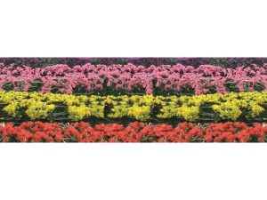 JTT Flower Hedges, 5x3/8x5/8in, HO-Scale, (8 per pack)