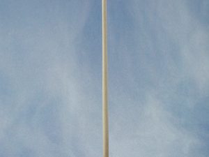 Ripmax Flush Flagstaff Complete (Brass & Wood)(Pk2)