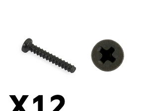 FTX TRACER PAN HEAD SELF TAPPING SCREWS PBHO2*12MM
