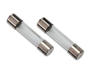 Traxxas Fuse, charger, 5A (2 pcs) (for #2974, 2975, 2977)