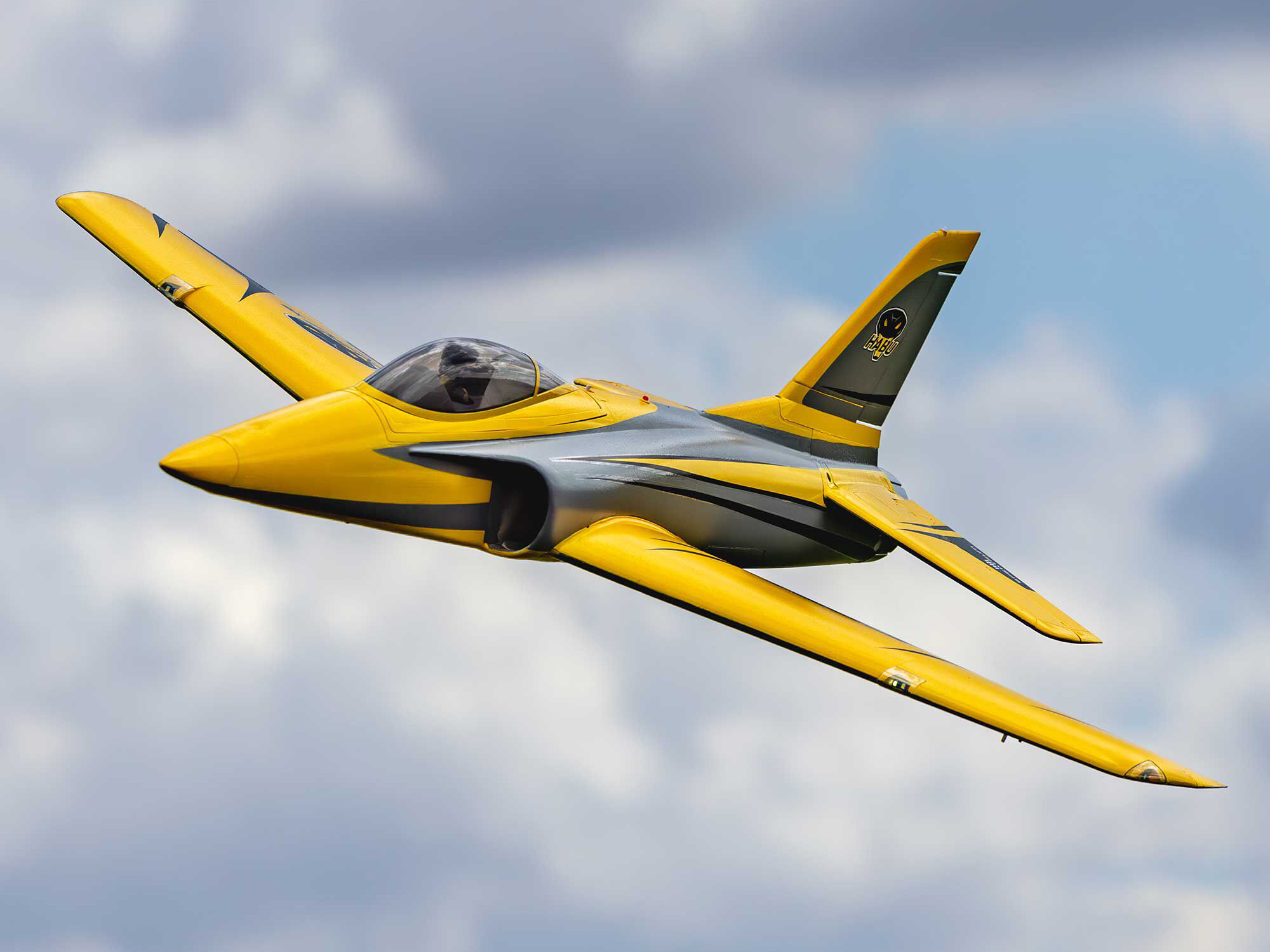 E-flite Habu XS (eXtra Sport) 80mm EDF PNP - Image 23