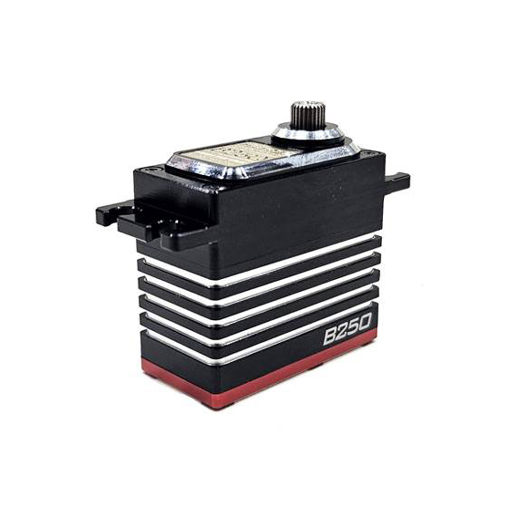 Highest RC Highest B250 Servo 1/8th Buggy