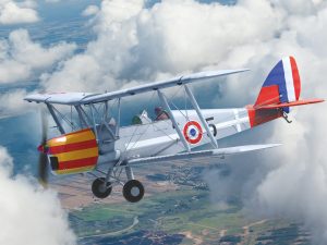 ICM DH.82A Tiger Moth of the World Air Forces