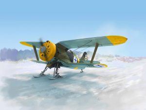 ICM I-153, WWII Finnish Air Force Fighter (Winter Version)