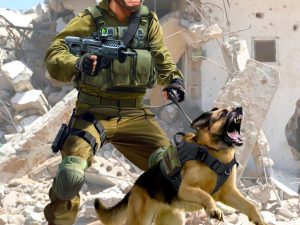 ICM IDF K-9 Unitz "OKETZ" Officer with Dog 1:16 Figures