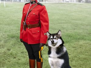 ICM RCMP Female Officer with Dog 1:16 Figures
