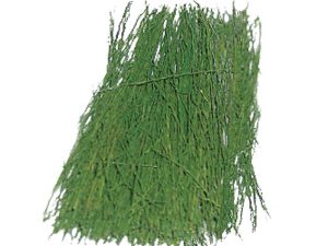 JTT Light Green Field Grass - 15g