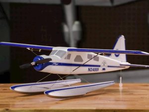 Flite Test Micro Beaver