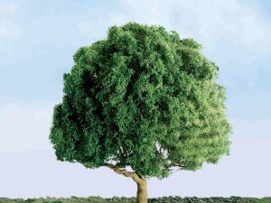 JTT Oak, 1-1/2in, (4 per pack)