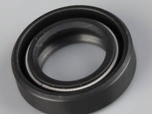 Zenoah Oil Seal (For G450, G620)