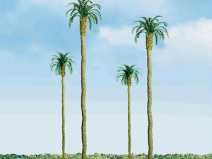 JTT Palm Trees, 4in (101.6mm) Tall (3 per pack)