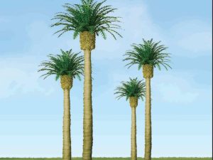 JTT Phoenix Palm, 4in, (2 per pack)