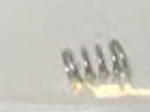 Badger Plunger Spring