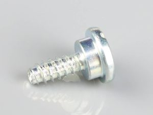 Zenoah Screw (For G300, G320)