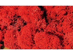 Heki Standard Lichen, Autumn (3213)