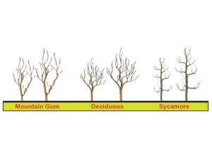 JTT Sycamore Tree Armature, 4in (101.6mm) Tall (3 per pack)