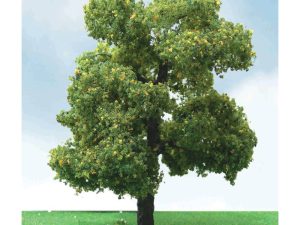 JTT Sycamore Trees, 8in (203.2mm) Tall (1 per pack)
