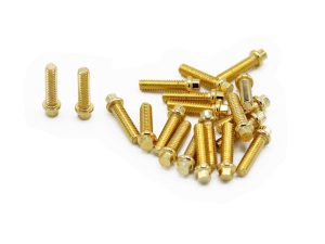 Vanquish M2x8mm Forged Scale Steel GR8 (20)