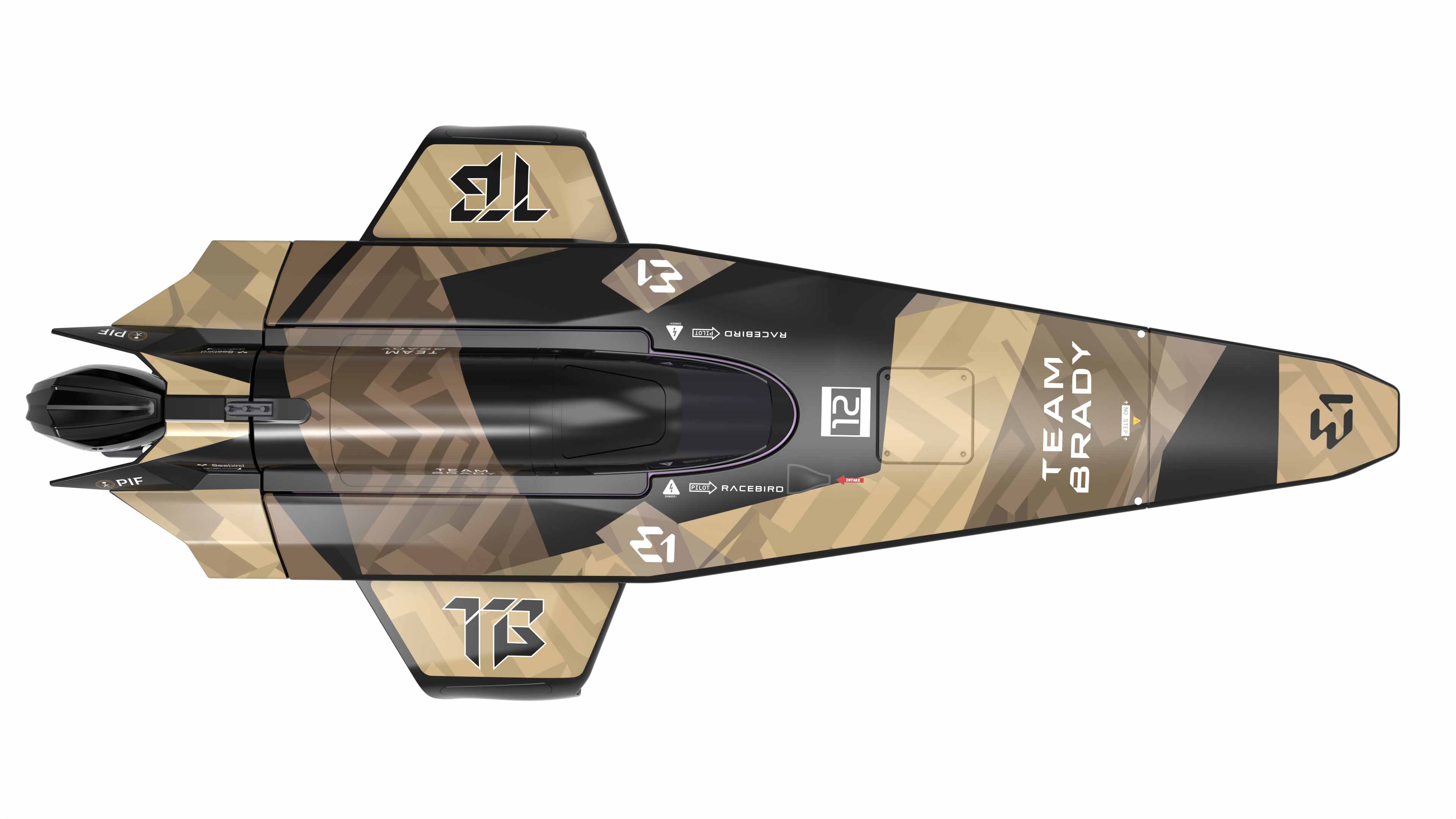 Joysway E1 Racebird 1:14 545mm RTR Hydrofoil Boat Team Brady